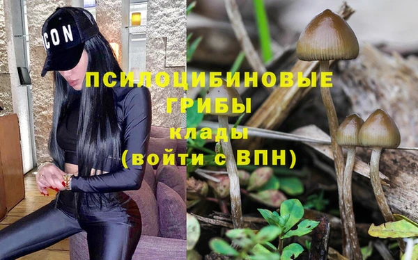 MDMA Баксан