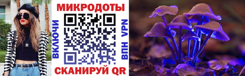 Галлюциногенные грибы прущие грибы Сосновый Бор